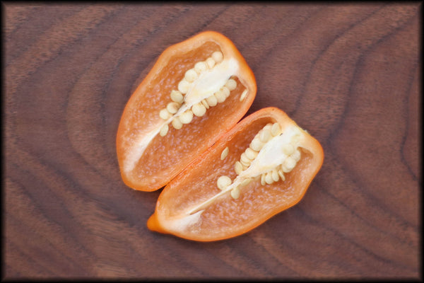 Sugar Drop Orange Seeds