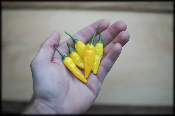Aji Lemon Drop Seeds