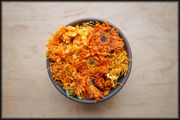 Calendula Flowers, Spring 2024
