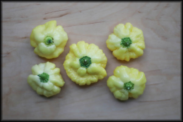 Goat Brains Pale Yellow Seeds