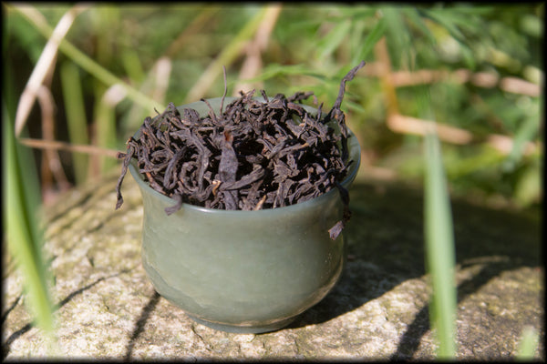 Golden Garden, Spring 2024