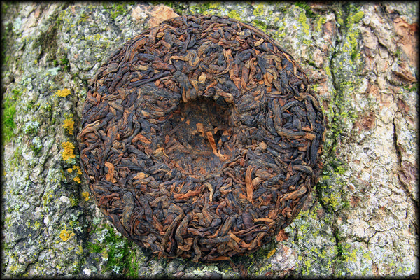 2019 Clairvoyance - 80g Pu-erh Cake