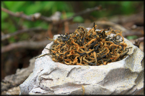 Golden Eyebrow — Jin Jun Mei, Spring 2023