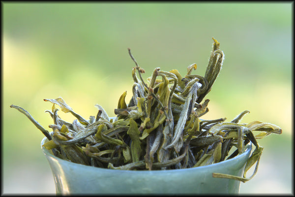 The Jade Finch — Magnolia Scented Green Tea, 1/2 ounce, Spring 2024