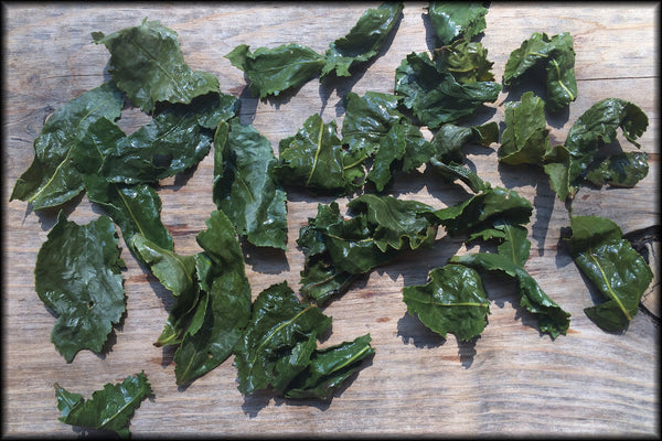 Autumn Jade Tieguanyin, 2024