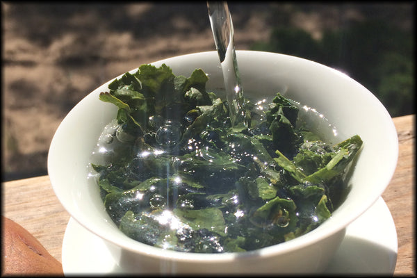 Autumn Jade Tieguanyin, 2024