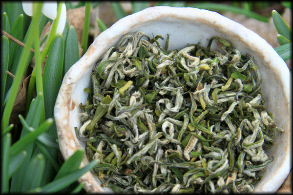 Dong Ting Bi Luo Chun Green Tea (1/2oz), Pre-Qing Ming, Spring 2022