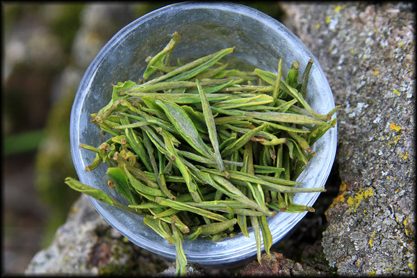 Imperial Anji Bai Cha (1/2oz), Pre-Qing Ming, Spring 2024