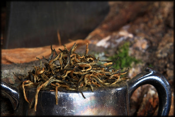 Yunnan Gold Tips, Spring 2023