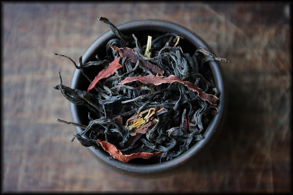 The Black Magnolia, Spring 2025