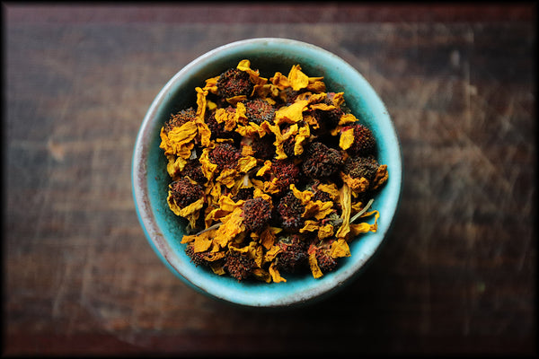 Snow Chrysanthemum Flowers, Spring 2025